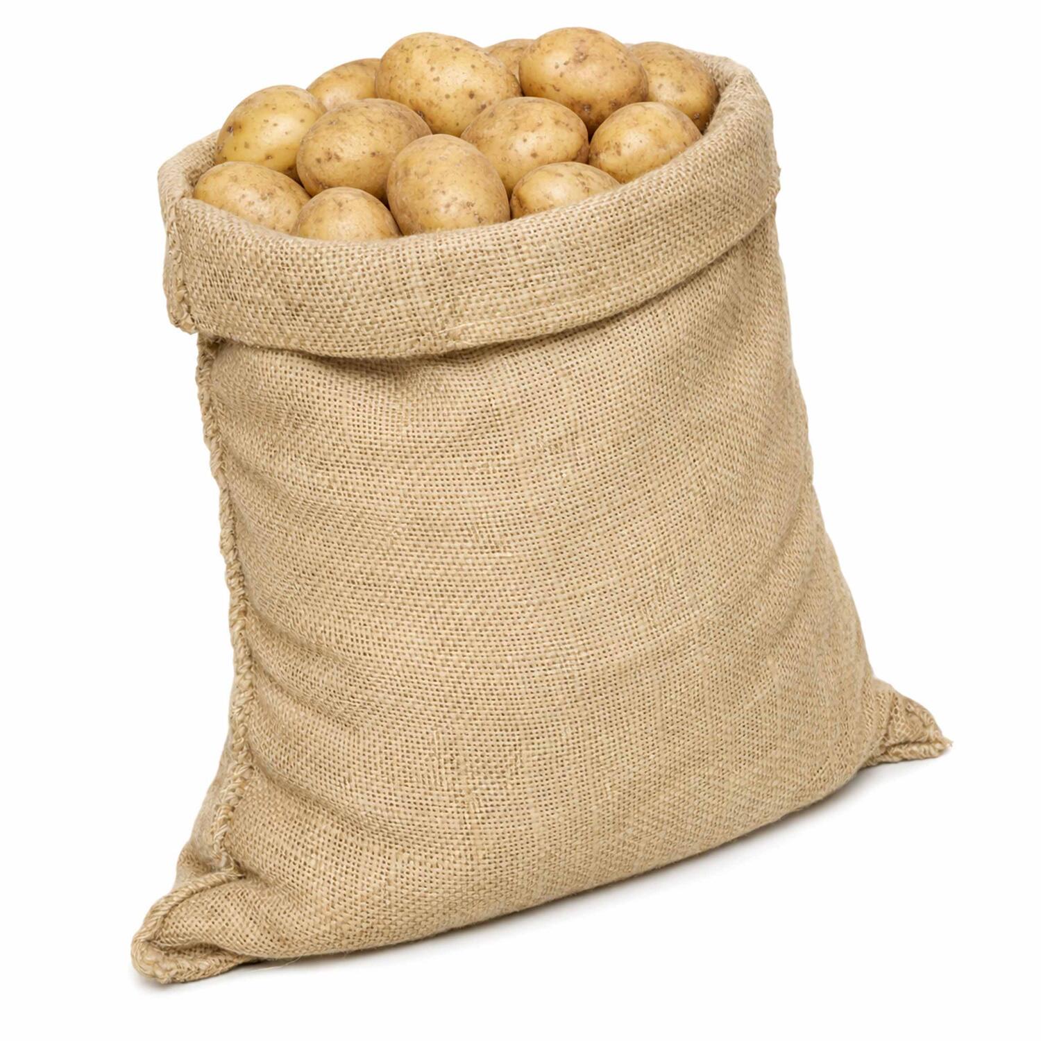 Jutes�cke S�cke aus Jute 60 x 110 cm H320 50kg belastbar pflanzlich braun